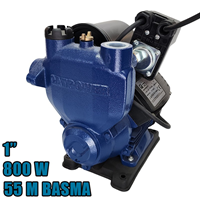 Hidrofor 800W