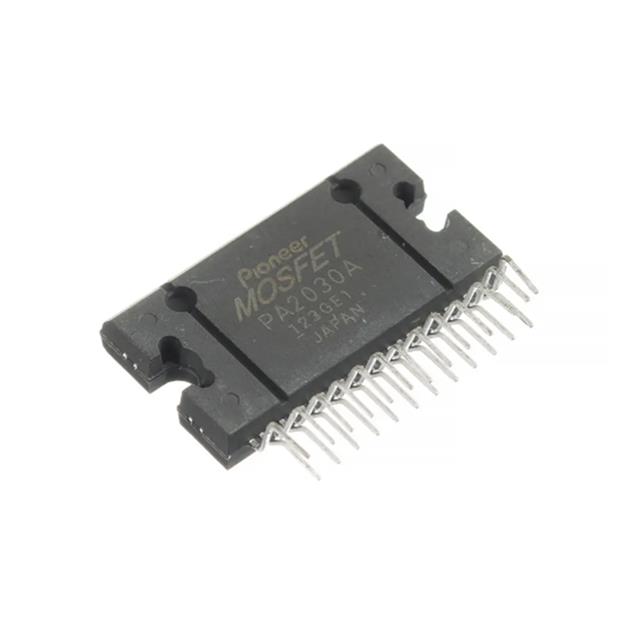 PA 2030A ZIP-25 Entegre Devre